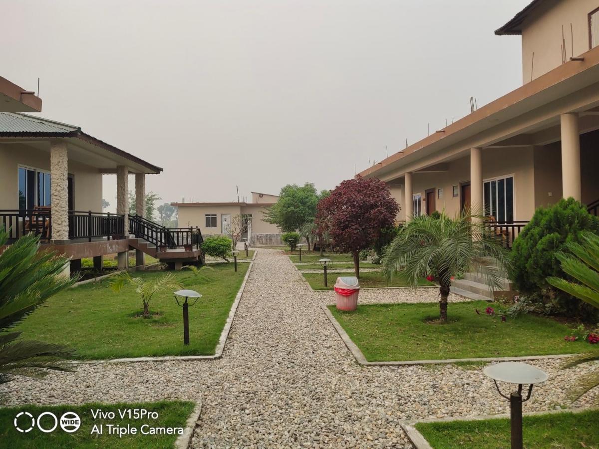 Hotel Hornbill Sauraha Exterior photo